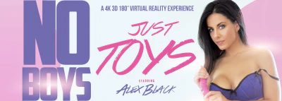 Cover for 'VR Bangers: No Boys Just Toys'