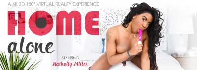 Cover for 'VRB Trans: Home Alone'