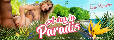Cover for 'VRB Trans: A Day in Paradis'