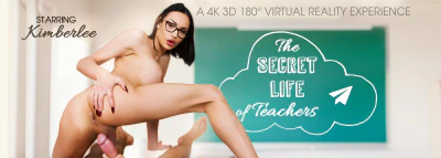 Cover for 'VRB Trans: The Secret Life of Teachers'