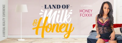Cover for 'VRB Trans: Land of Milk and Honey'