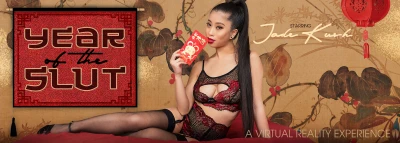 Cover for 'VR Bangers: Year of the Slut'