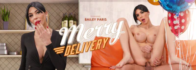 Cover for 'VRB Trans: Merry Delivery'