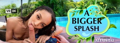 Cover for 'VR Bangers: A Bigger Splash'