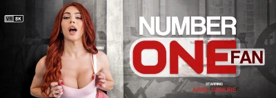 Cover for 'VRB Trans: Number One Fan'