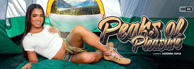 Cover for 'VRB Trans: Peaks of Pleasure'